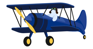 Viktor in an aircraft